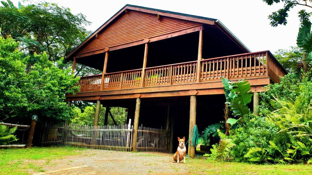 Hib Escape Log Homes Hibberdene Exterior photo